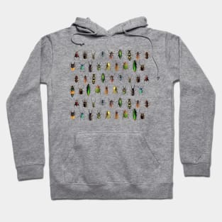 Beetlemania Hoodie